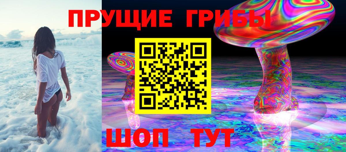 Новозыбков  Галлюциногенные грибы Magic Shrooms  Вход с VPN 